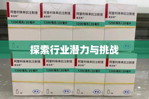 厦门探索行业潜力与挑战