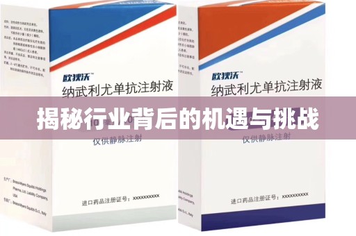 厦门揭秘行业背后的机遇与挑战
