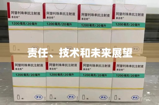 厦门责任、技术和未来展望