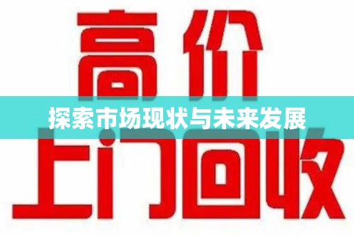 厦门探索市场现状与未来发展