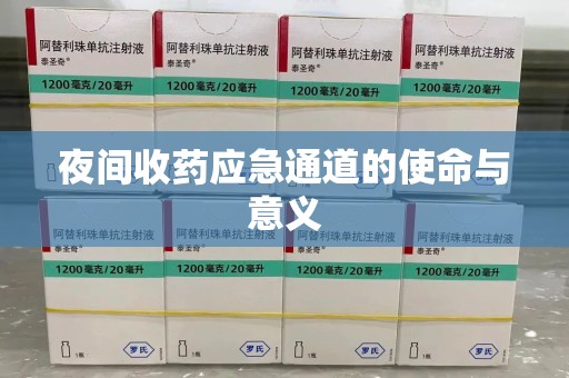 厦门夜间收药应急通道的使命与意义