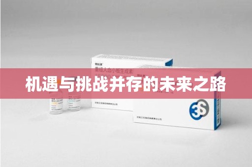 厦门机遇与挑战并存的未来之路