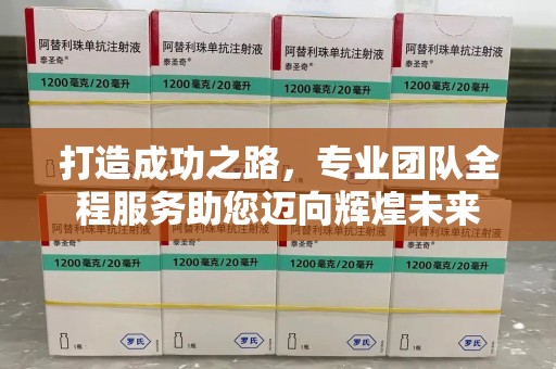 厦门打造成功之路，专业团队全程服务助您迈向辉煌未来