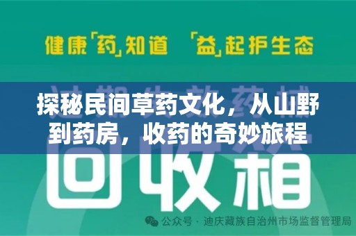 厦门探秘民间草药文化，从山野到药房，收药的奇妙旅程