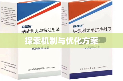 厦门探索机制与优化方案
