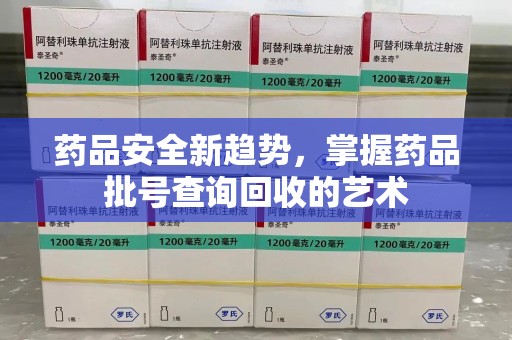 厦门药品安全新趋势，掌握药品批号查询回收的艺术